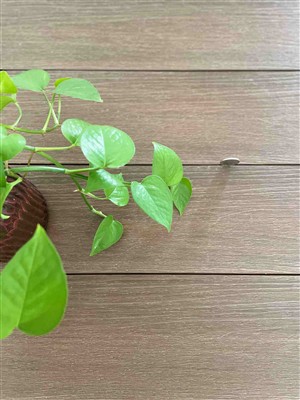 Definiția pardoselii WPC